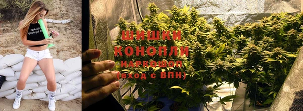 кокаин колумбия Алзамай