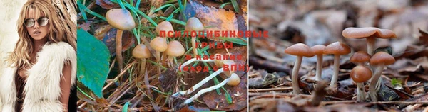 кокаин колумбия Алзамай