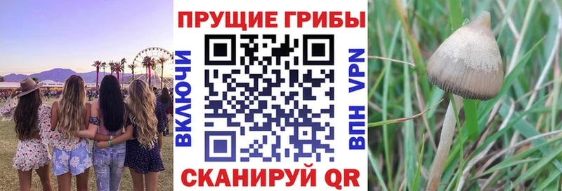 Галлюциногенные грибы Magic Shrooms Полевской